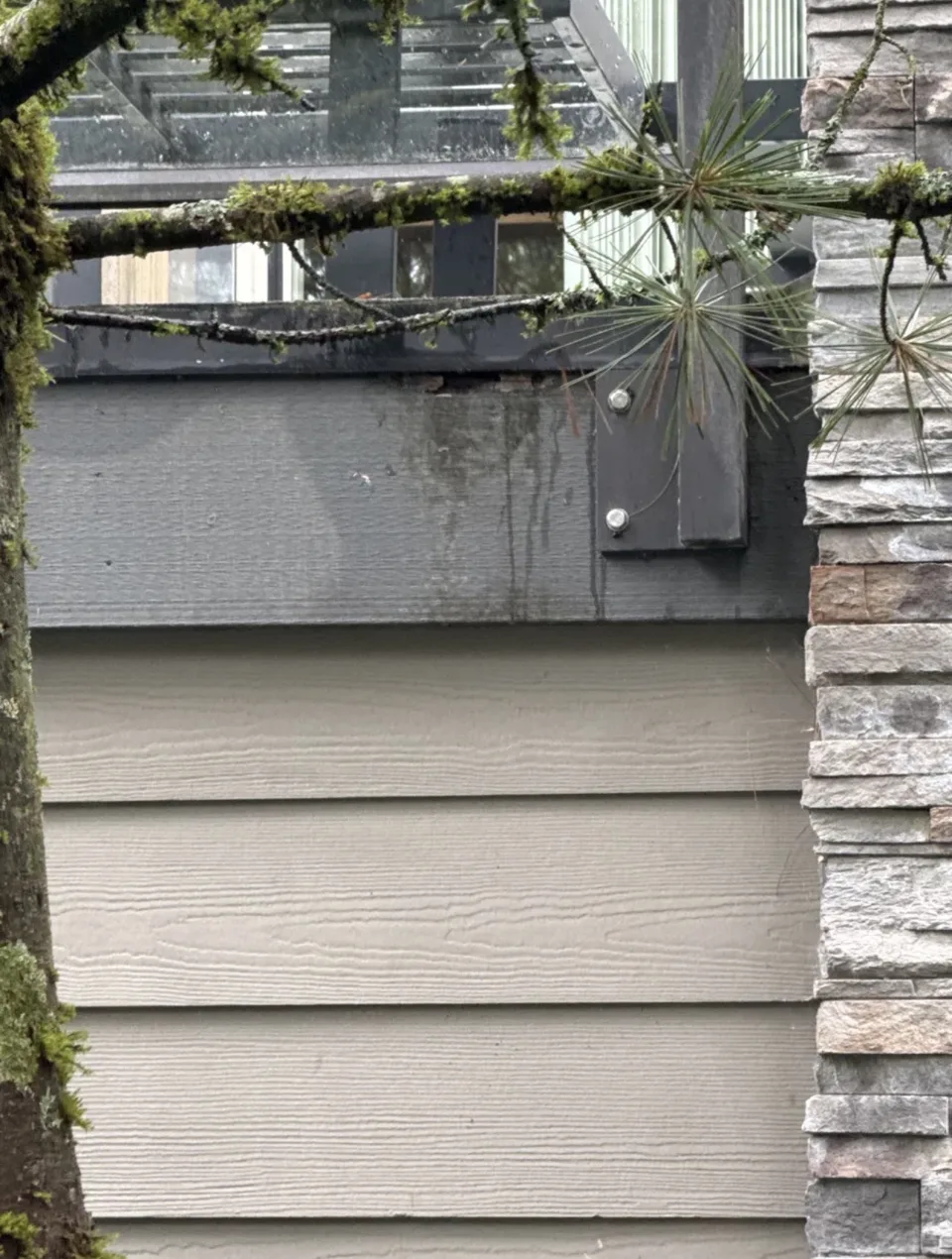 Moss growth on a deck band and trellis beam above strata balcony cladding, organic growth marking sustained moisture