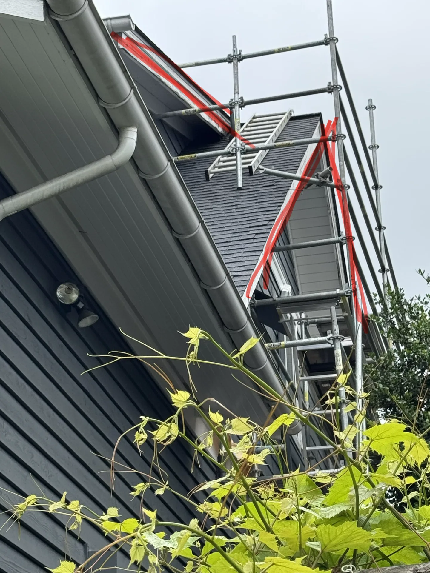 Scaffolding on a North Vancouver roofline during balcony and building-envelope restoration by Eurohouse Construction