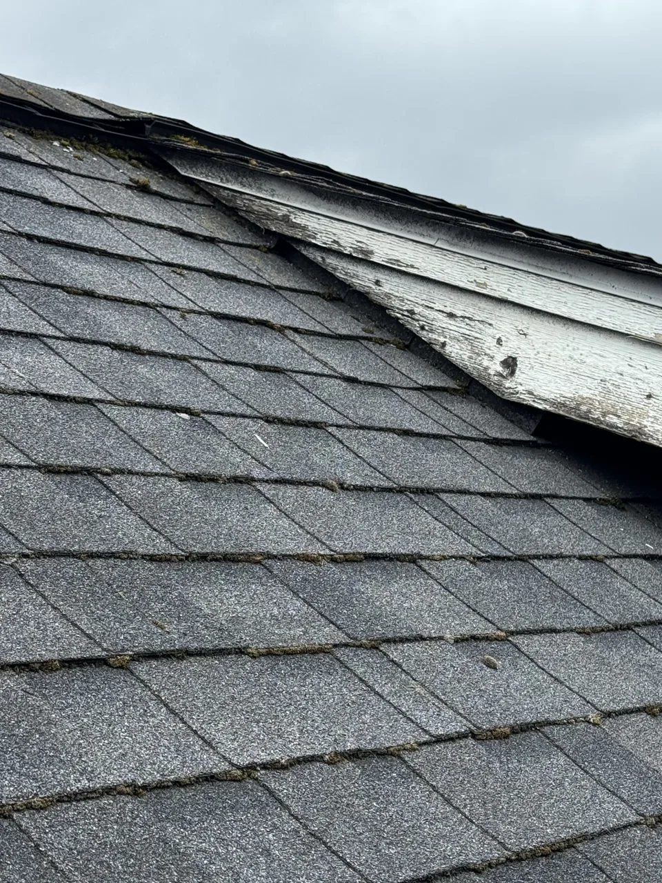 Deteriorating fascia and eyebrow trim at a shingled roofline, a common depreciation-report envelope line item