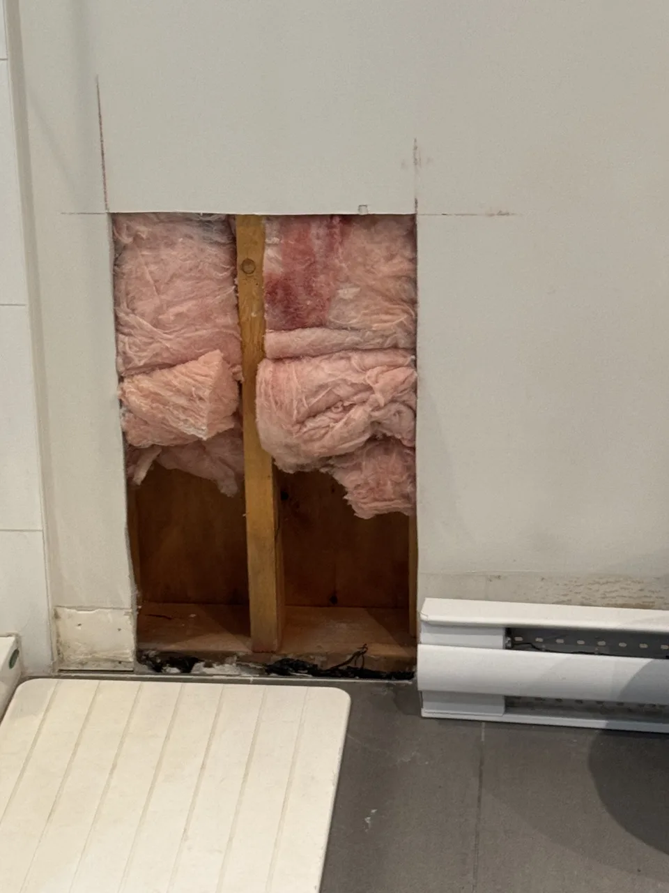 Exploratory drywall opening exposing wet insulation and deteriorated framing at the base of a wall during a water ingress investigation