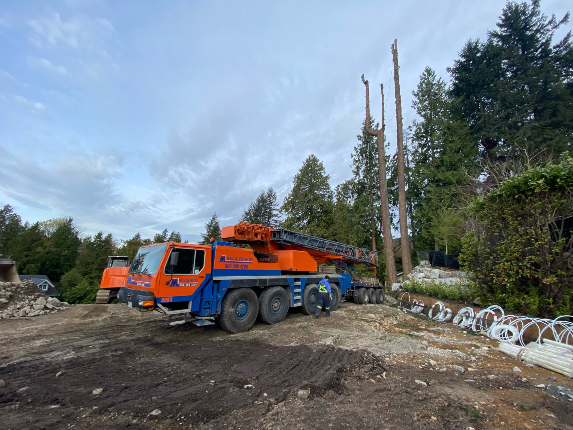 Crane-assisted tree removal on West Vancouver construction site — tree bylaw compliance