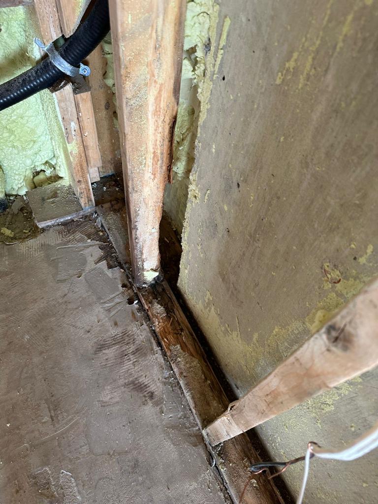 Water-damaged framing from roof leak