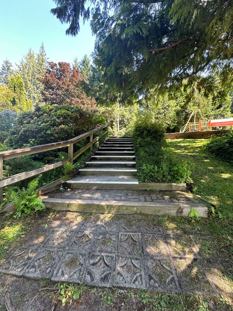 Lions Bay Beach Park before — old concrete stairs with timber railing and overgrown vegetation