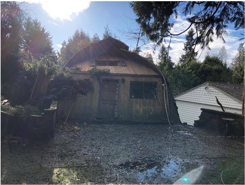 Fallen tree damage to guest house in West Vancouver — storm damage insurance restoration